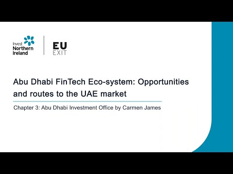 Preview image for the video "Abu Dhabi FinTech Eco-system webinar -Chapter 3".