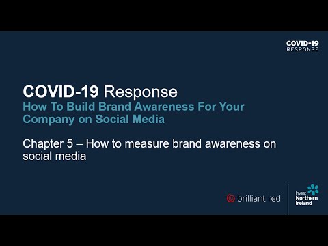 Preview image for the video "COVID-19 Response: How to build brand awareness for your company on social media (Chapter 5)".