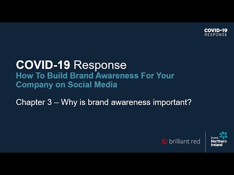 Preview image for the video "COVID-19 Response: How to build brand awareness for your company on social media (Chapter 3)".
