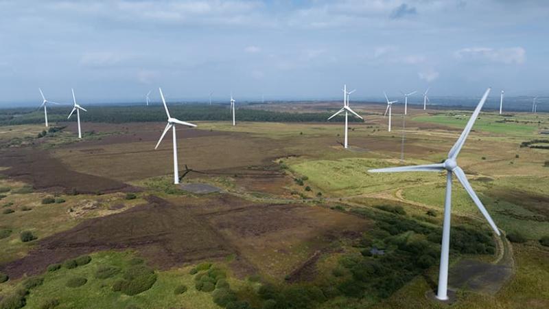 wind turbines in a large field